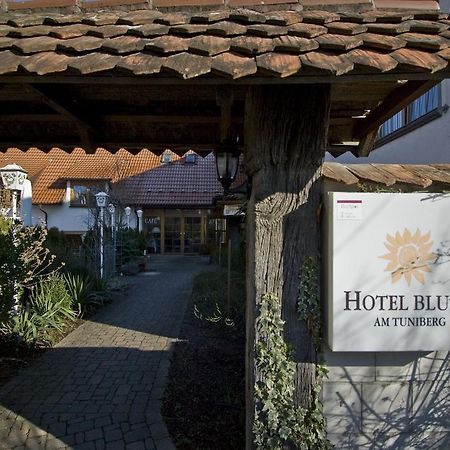 Hotel Blume Freiburg im Breisgau Ngoại thất bức ảnh