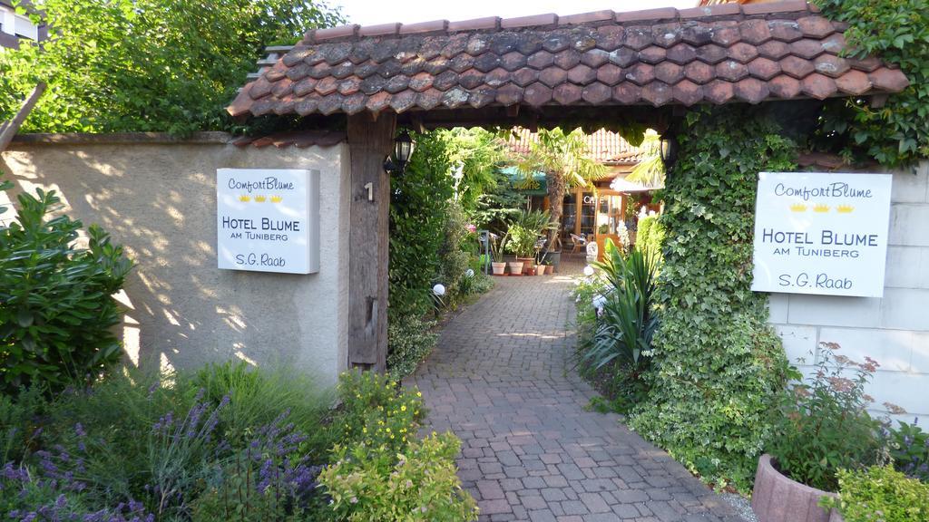 Hotel Blume Freiburg im Breisgau Ngoại thất bức ảnh