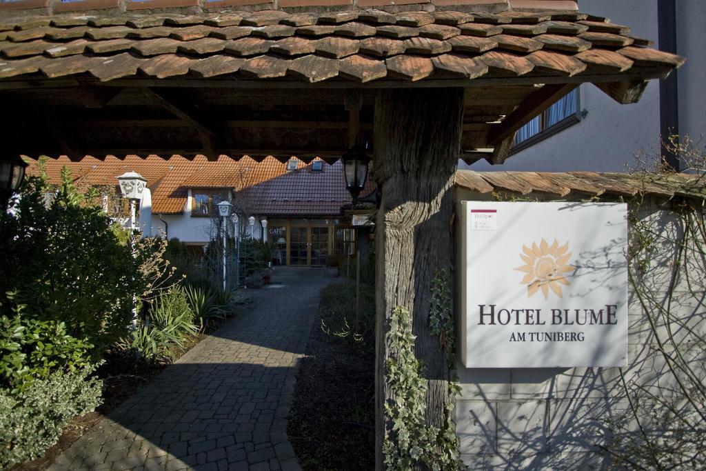 Hotel Blume Freiburg im Breisgau Ngoại thất bức ảnh