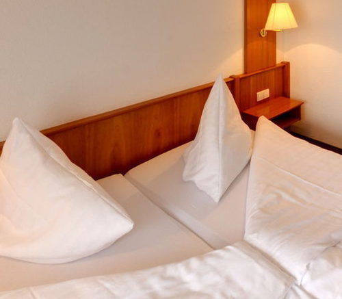 Hotel Blume Freiburg im Breisgau Ngoại thất bức ảnh